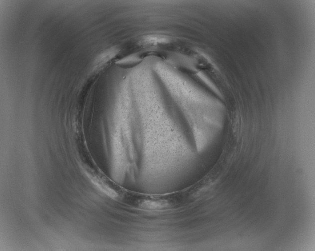 X0000082170455200702021731