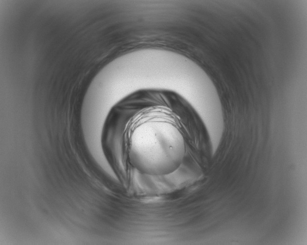 X0000082170456200702021731