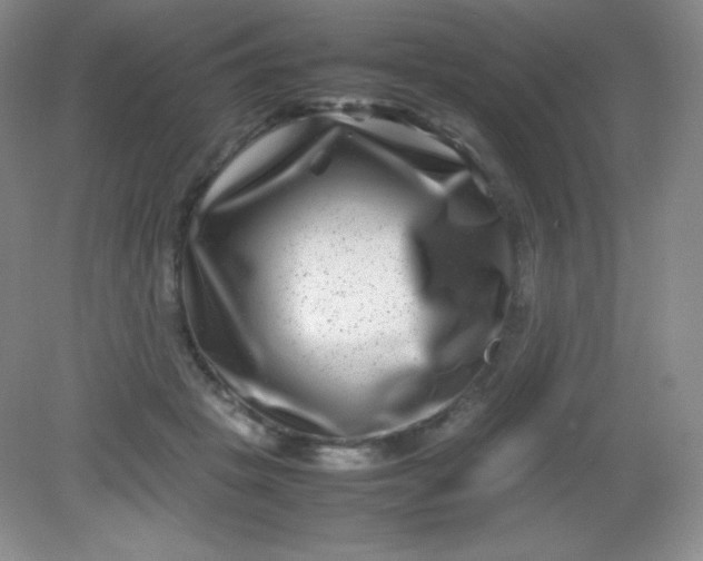 X0000082170457200702021731