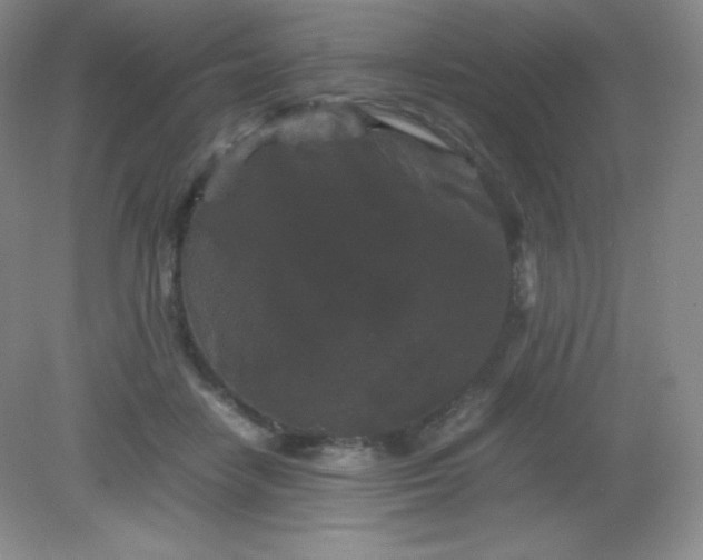 X0000082170458200702021731