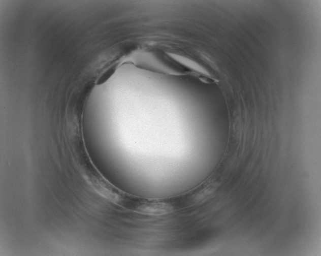 X0000082170459200702021731