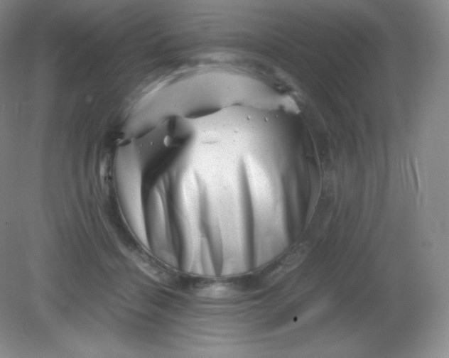 X0000082170460200702021731