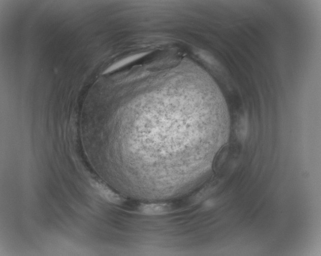 X0000082170461200702021731