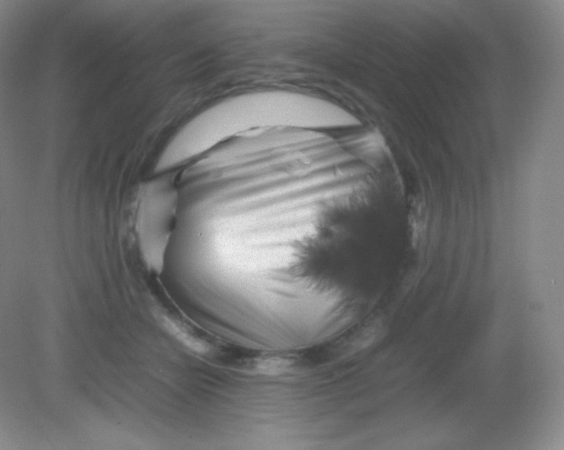 X0000082170462200702021731