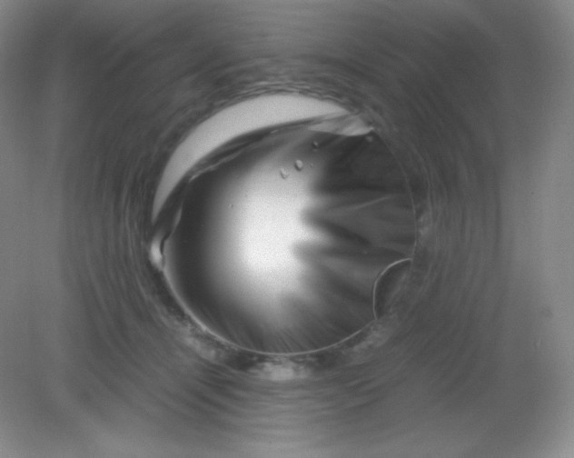 X0000082170464200702021731