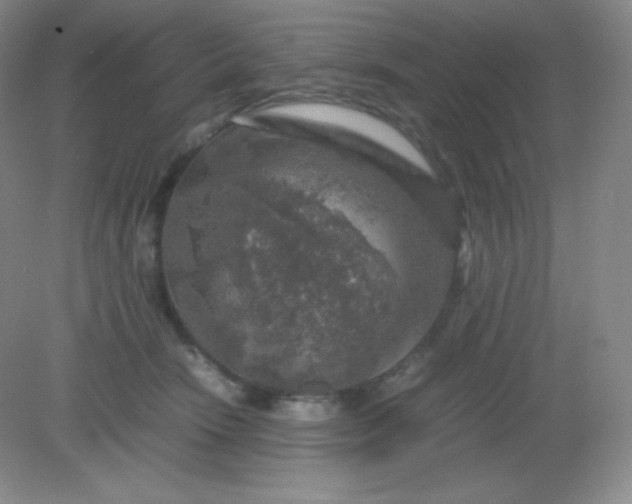 X0000082170466200702021731