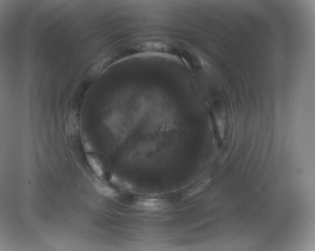 X0000082170467200702021731