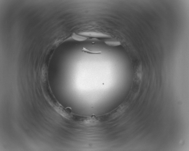 X0000082170468200702021731