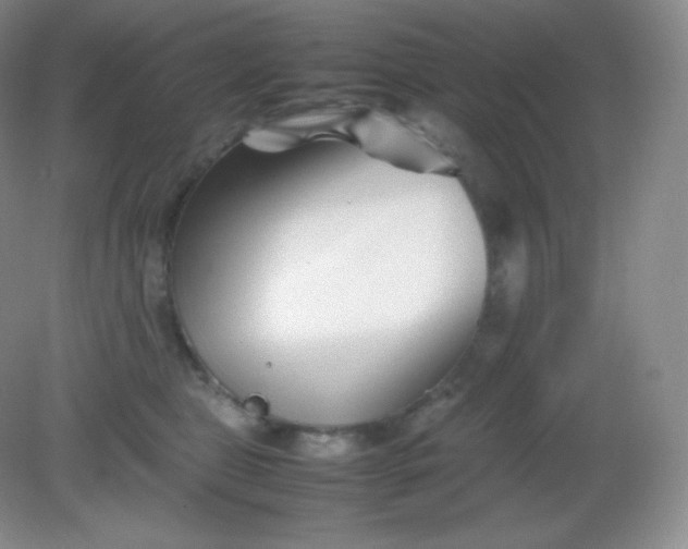 X0000082170469200702021731