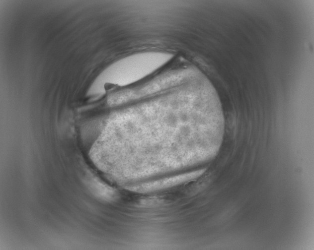 X0000082170470200702021731