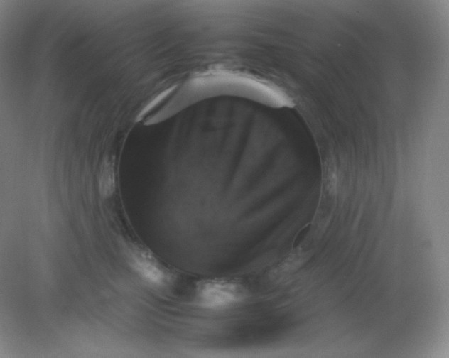 X0000082170471200702021731