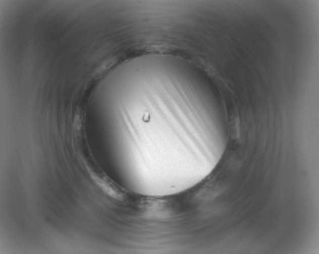 X0000082170472200702021731