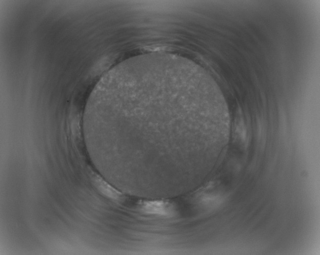 X0000082170473200702021731