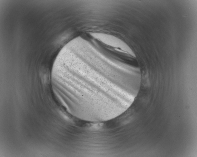 X0000082170474200702021731