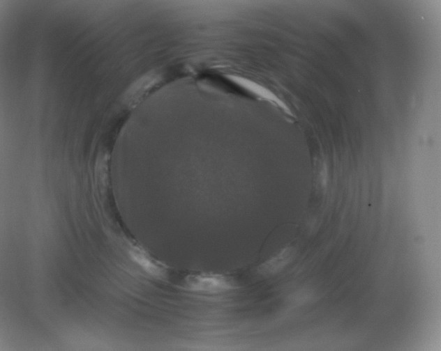 X0000082170475200702021731