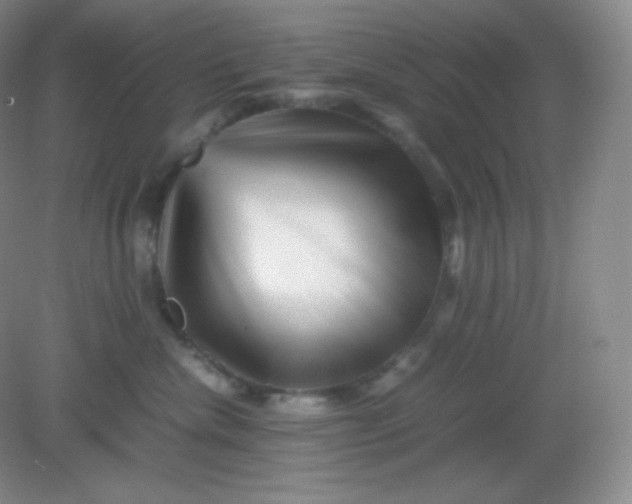 X0000082170476200702021731