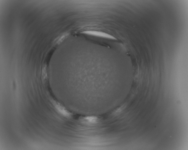 X0000082170478200702021731