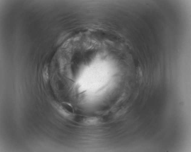 X0000082170479200702021731