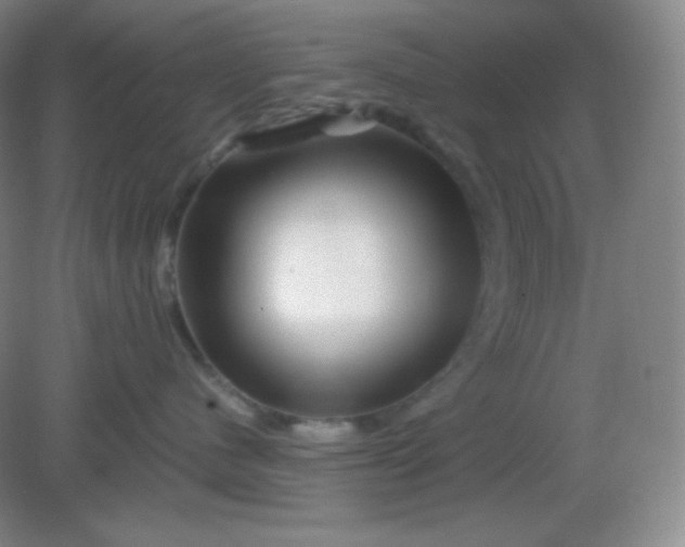 X0000082170480200702021731