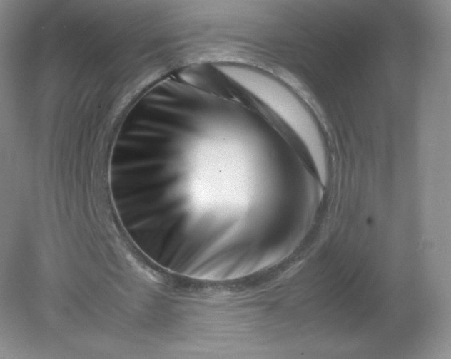 X0000082170481200702021730