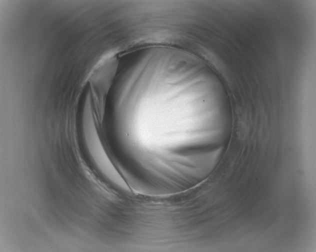 X0000082170482200702021730