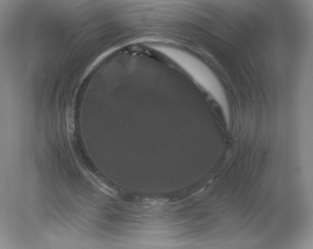 X0000082170484200702021730