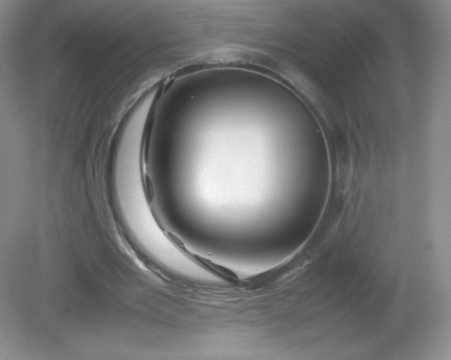 X0000082170485200702021730