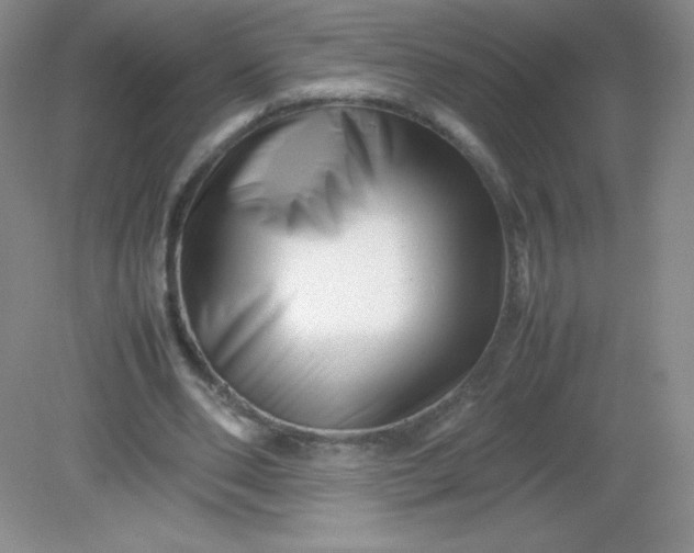 X0000082170486200702021730