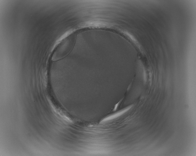 X0000082170488200702021730