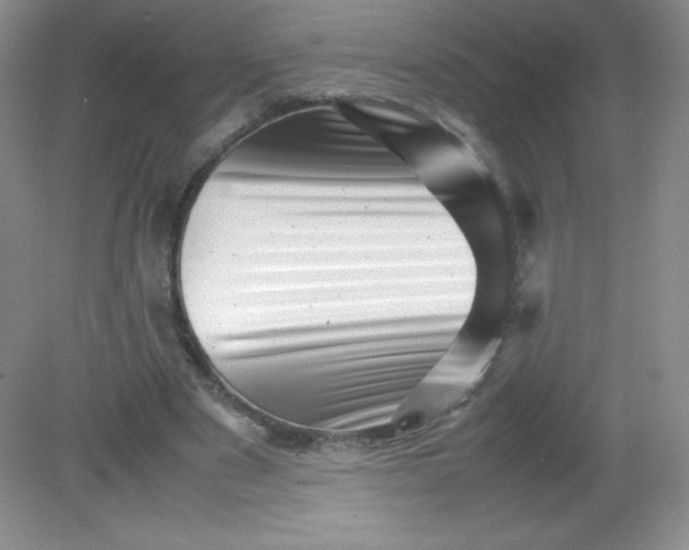 X0000082170489200702021730