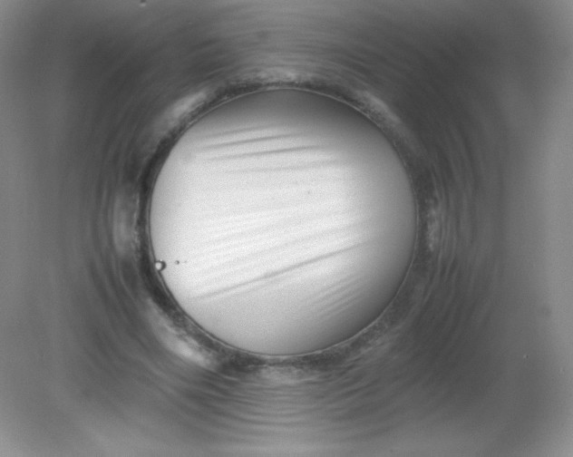 X0000082170490200702021730