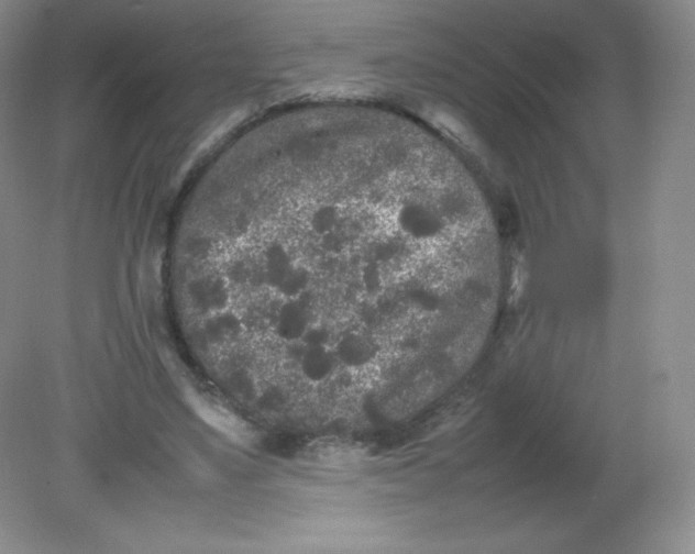 X0000082170491200702021730