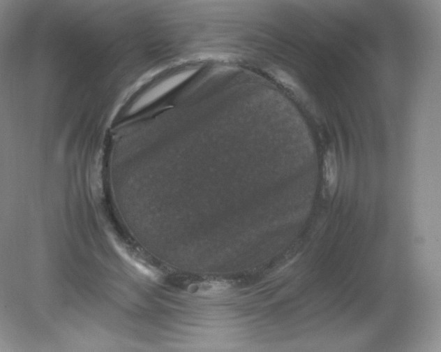 X0000082170492200702021730