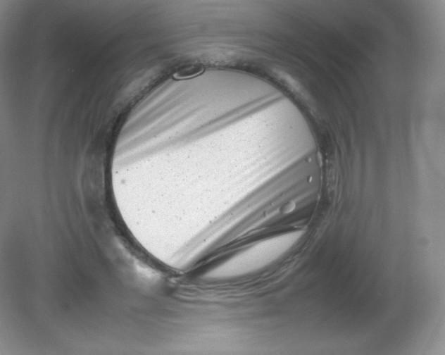 X0000082170493200702021730