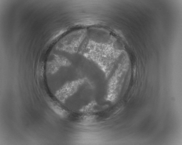 X0000082170495200702021730