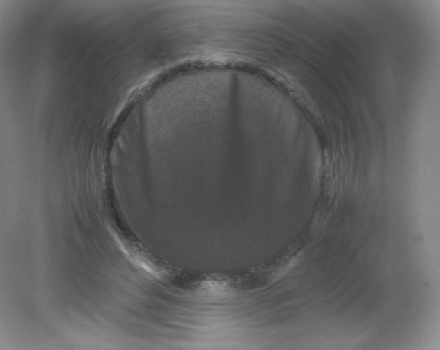 X0000082170496200702021730