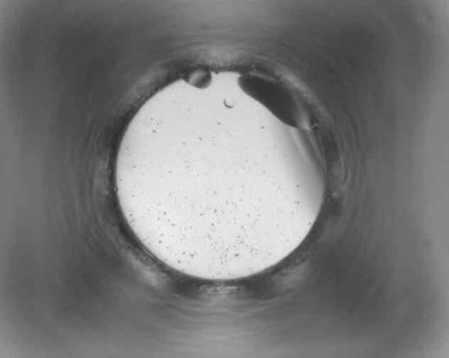 X0000082170497200702021730