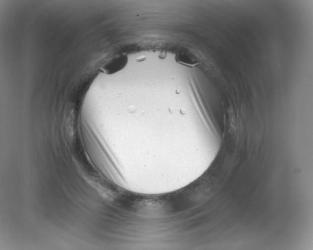 X0000082170498200702021730