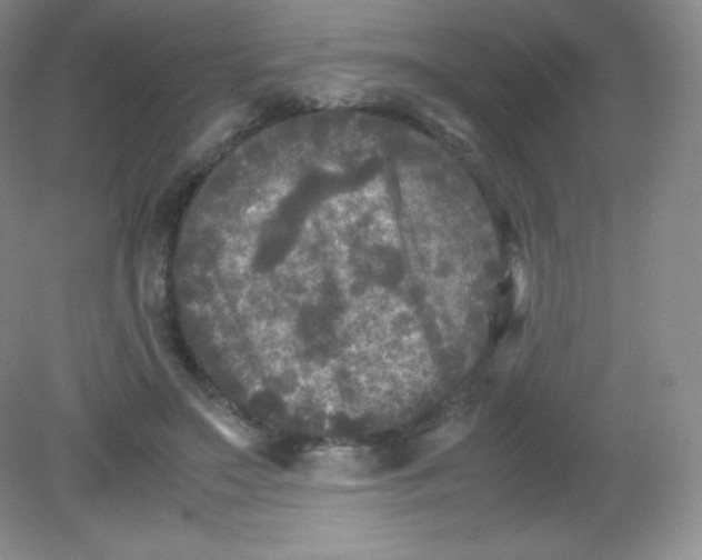 X0000082170499200702021730