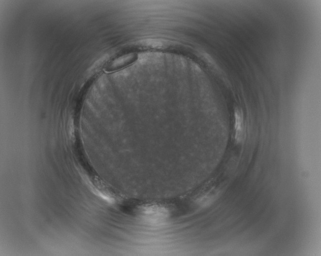 X0000082170500200702021730