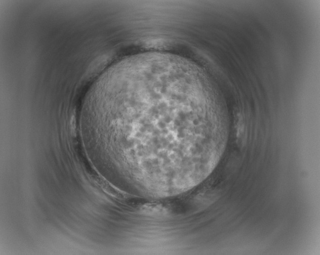 X0000082170502200702021730