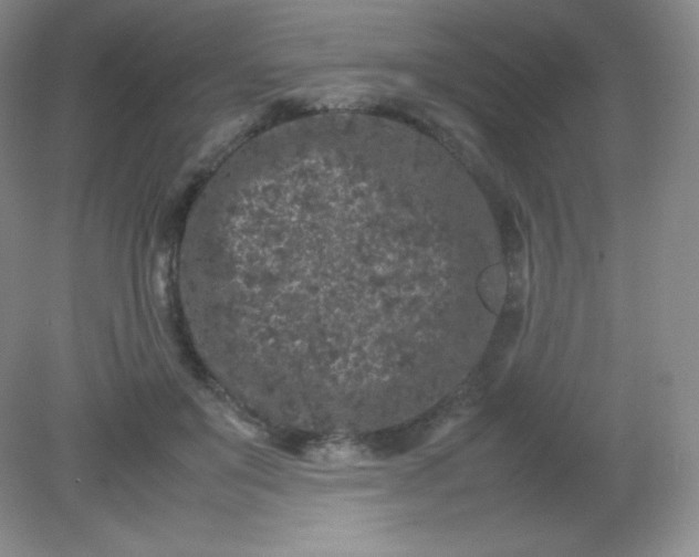 X0000082170503200702021730