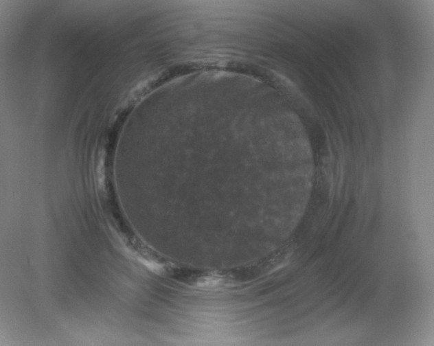 X0000082170504200702021730