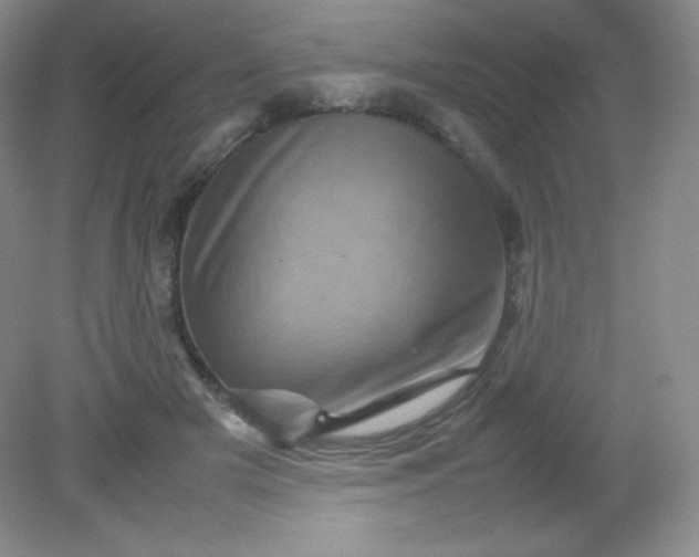 X0000082170505200702021730