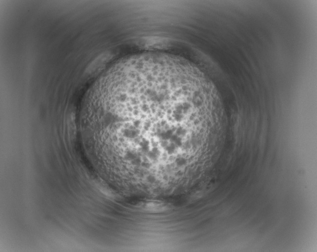 X0000082170506200702021730