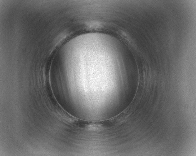 X0000082170508200702021730