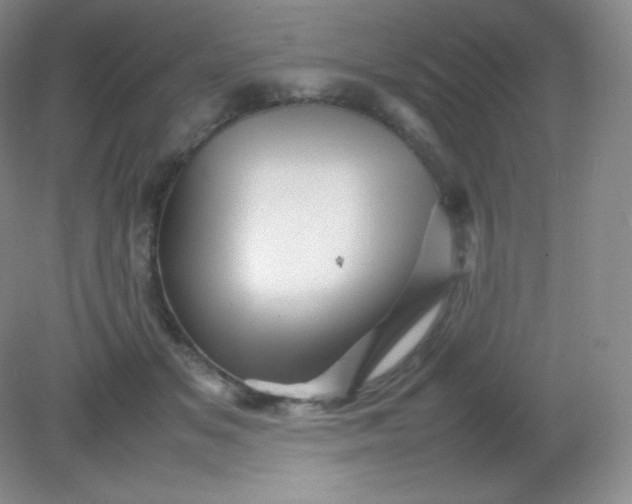 X0000082170509200702021730