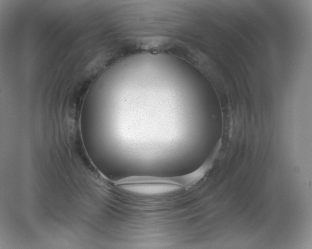 X0000082170510200702021730