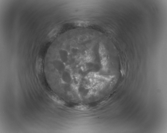 X0000082170511200702021730