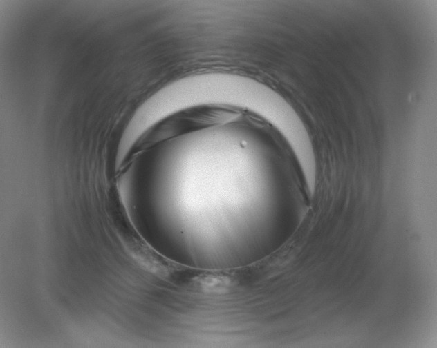 X0000082170512200702021730